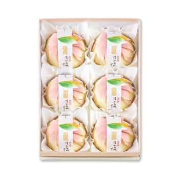 到　庵野水晶　プロモ　2枚セット　No.6 No.7 SHARP 冷蔵庫 一人暮らし 二人暮らし 280L シャープ 右開き 大