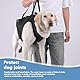 Hunde Tragehilfe, Tragbares Hundegeschirr, Verstellbare Hundehebegeschirr, Hundestützschlaufe, Hundetragegurt, Ganzkörperhebehilfe für Mittlere und Große Kranke Oder ältere Hunde (XL)