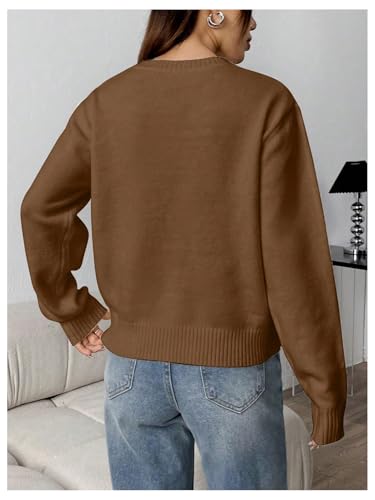 Image of SweatyRocks Women's Flag Pattern Long Sleeve Round Neck Sweater Casual Loose Pullover Sweater