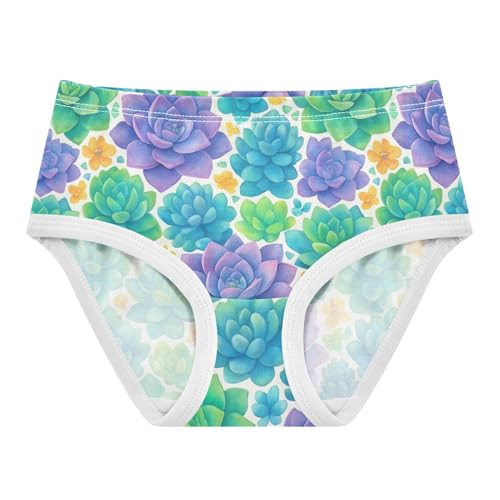 Joisal Fancy Toddler Girls Underwear 2t Cotton Panties for Girl Watercolor Succulents Green Purple Kids Undies Briefs