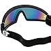 Birdz Eyewear Wing Skydiving Parasailing Goggles 2 Pairs with One Piece ReflecTech Red Mirror Lens & Blue Mirror Lens