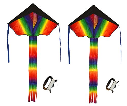 Weifang New Sky Kites Rainbow Delta Kite 42 X 26 inch with 62 inch Tail Easy Flyer with Line and Handle (2 Count), Easy Flyer
