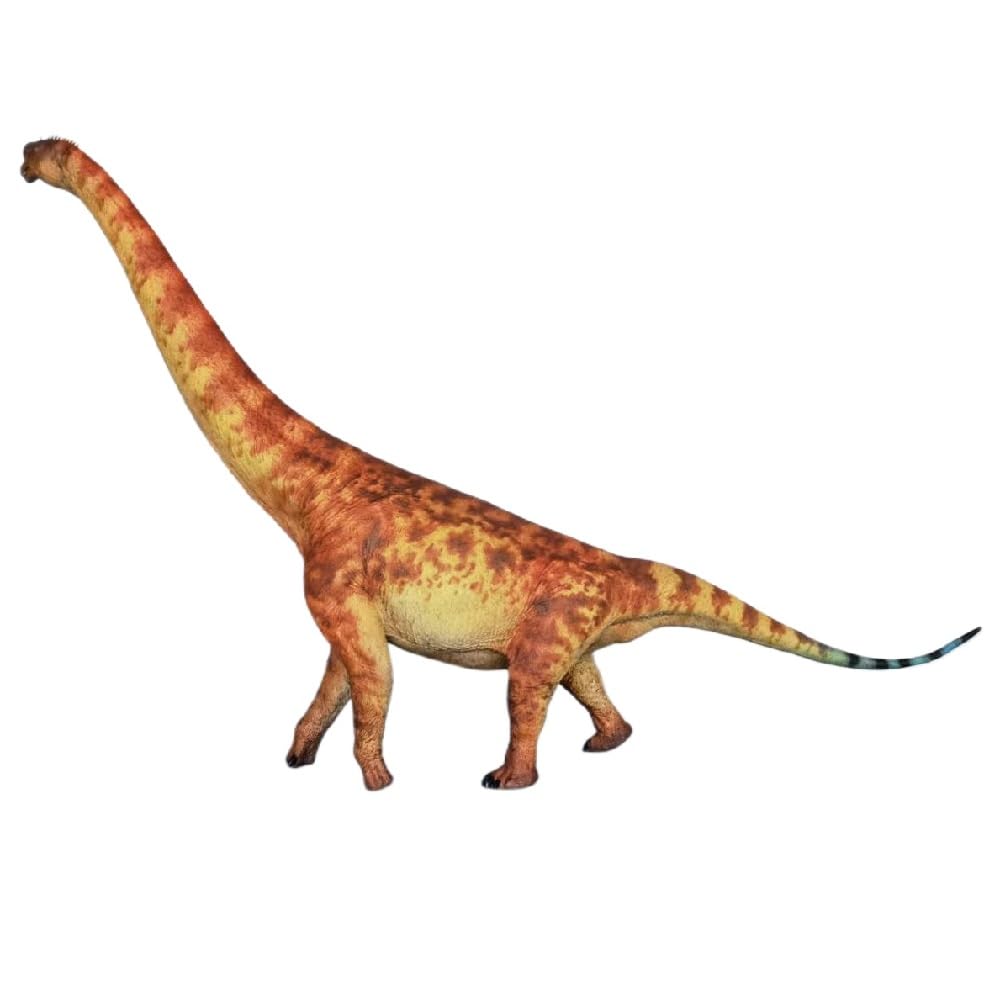XINPANYIAN HAOLONGGOOD Brachiosaurus Prehistoric Animal Dinosaur Model with Huayangosaurus Figure (Color C)