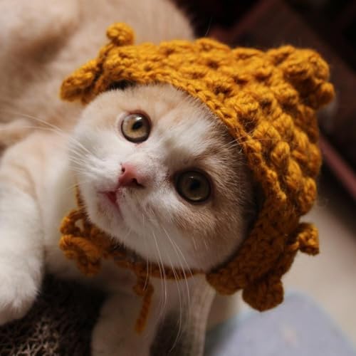 Shnmersy LXq 蕨 RXv ybgpXq jbgX ҂ nEB  ʔ ڂɗ ANZT[ Lp p RX`[X EȒP ϐg Be