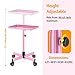 DEER BEAUTY Salon Tray on Wheels - Premium Aluminum Tattoo Tray Rolling Trolley - Adjustable Salon Service Rolling Tray Hairdresser Cart with Clinic Spa Rolling Tray Wheels (Pink)