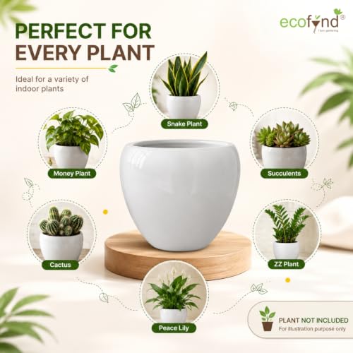 Image of ecofynd 5.1 Inch Ceramic Plant Pots with Drainage Hole, Modern Decorative Clay Flower Pots for Indoor Plants, Decorative Tabletop Planters for Home, Office, Living Room, Bedroom & Shelf (CPOT047-WHT)