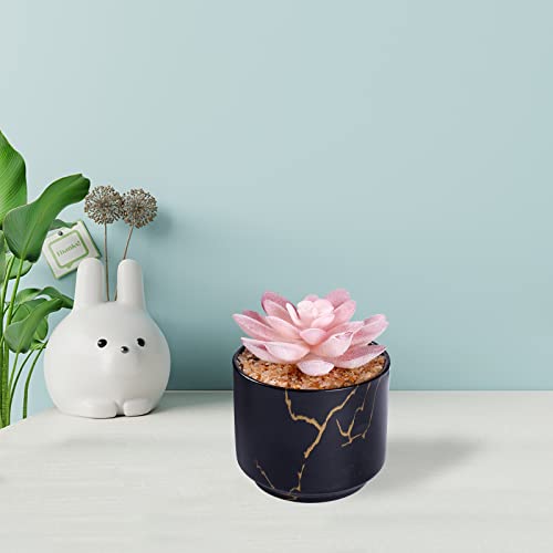 Zenida Succulent Artificial Plants,Cute Fake Succulents In 1 Black Ceramic Pots,Small Fake Plants For Office,Table,Desk,Bathroom, Bedroom,Aesthetic Room Shelves Decor,Desk Decorations For Women Office #TOP3