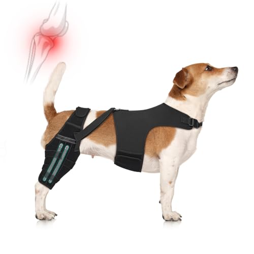 Image of Dog Knee Braces for Torn ACL Hind Leg, Adjustable Joint Brace Non-Slip