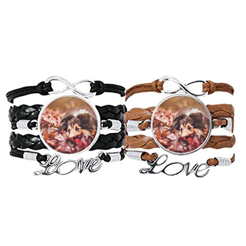 Bracelet cuir pour chien et animal de compagnie à porter au quotidien en couple