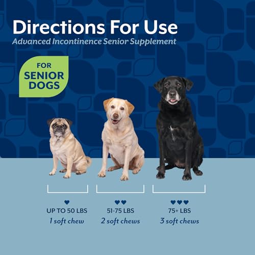 Image of NaturVet Senior Advanced Incontinence Dog Supplement - Helps Support Dog's Bladder Control, Normal Urination - Includes Synergistic Blend of Botanicals - 120 Ct. Soft Chews (Pack of 2)