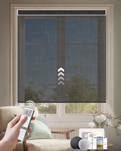 Kincmo Motorized Blinds with Remote Light (Smart home Alexa hub) Review