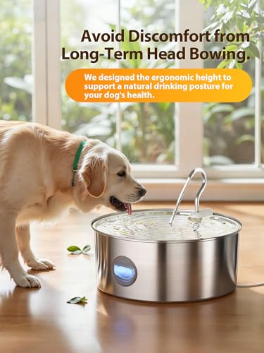 Kittyspout 8L Trinkbrunnen für Hunde, Edelstahl Wasserspender mit großem Sichtfenster und 3 Filtern, Ultra-leise Pumpe, Ideal für große Hunde und mehrere Katzen