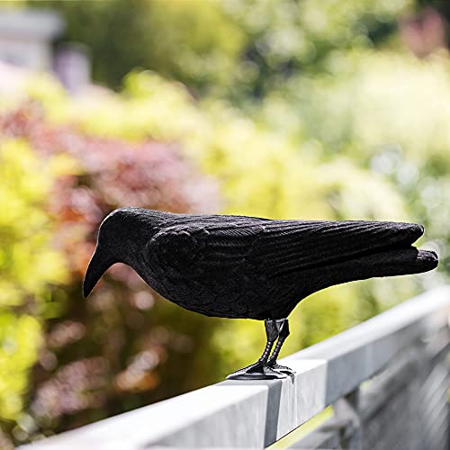 Navaris Crow Decoy - Fake Black Crow Decoy For Attracting Crows, Hunting, Scaring Birds, Halloween Decoration - Yard, Garden, Deck, Patio #TOP4