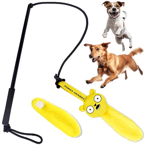 Race&Herd Flirt Pole for Dogs Interactive Dog Toys for Large Medium Small Dogs Chase and Tug of War, Dog Teaser Wand with Lure Squirrel Dog Toys for Outdoor Exercise & Training