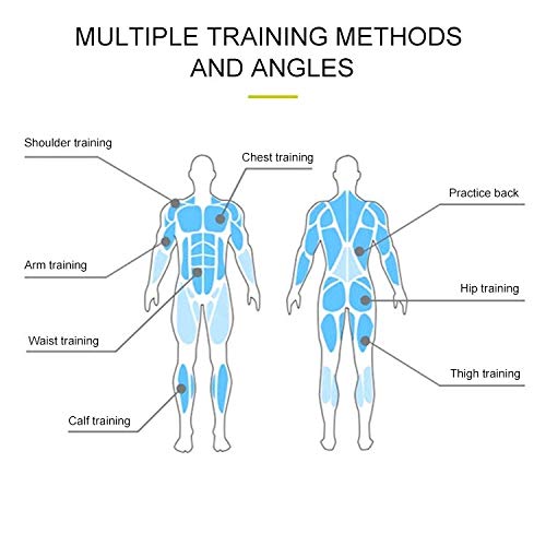 Roda Abdominal AB Roller para fitness portátil