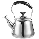 STOBAZA 1Stück Teekessel mit Pfeife und Filter Praktischer Wasserkocher für Haushalt und Camping Wasserkessel mit Überhitzungsschutz und Einzigartigem Design