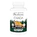 Host Defense - Chaga Mushroom Capsules, Antioxidant and DNA Support for Protection Against Free Radical Damage, Non-GMO, Vegan, Organic, 120 Count