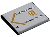 Contenu : Remplace la batterie Gneric 1 x NP-BN1