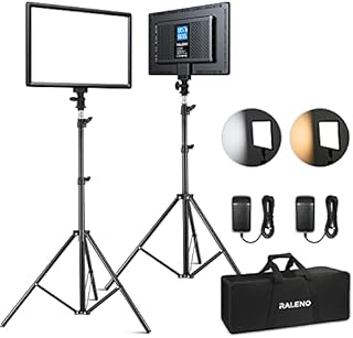 RALENO LED Video Lighting Kits With 75inch Light Stand, 1 Durable Handbag And 2-Pack 384 LED Soft Video Light, Built-in Lithium Battery 3200K-6500K Video Lighting Kits For YouTube Photography Shooting