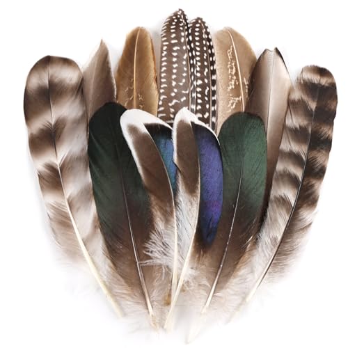 MehelloFeather Natural Pheasant Feathers 12Pcs Bulk Feathers 6 Style for DIY Crafts Hat Floral Arrangements Halloween Decorations