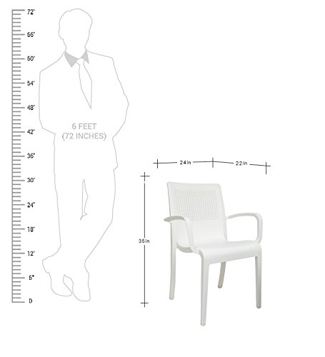 Image of Cello Ecstasy Elegant Set of 4 Chairs (White) | Strong and Durable | Easy to Clean | Chair for Living Room, Bed Room, Kitchen, Office Room, Outdoor | 3 Years Warranty