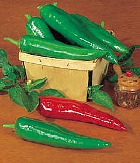 Pepper HOT Anaheim Chili Great Heirloom Vegetable 100 Seeds