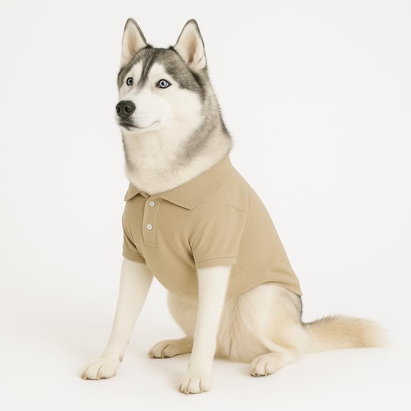 Image of Thunder Tails Premium Cotton Polo Dog T-Shirt | for Medium Dogs | Beige | 2XL | for Cocker Spaniel, Hound, Beagle & Corgi