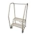 Rolling Ladder, Handrail, Platform 20 In H
