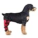 ZKOOO Hund Hinterbeine Kniebandage Handgelenk Sprunggelenk Wrap Schutz Gelenkbandage Stützbandage für Chirurgische Schützt Wunden und Arthritis Gelenkentzündung und Verstauchungen