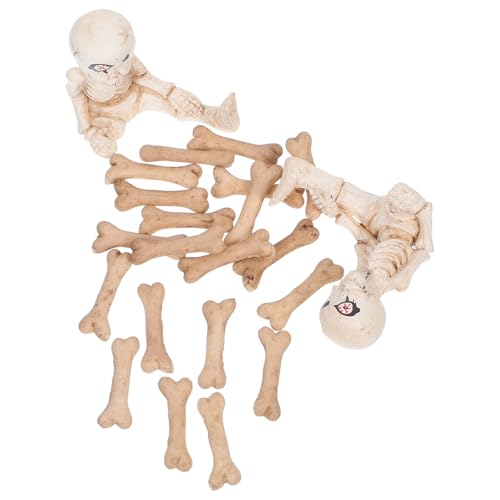 COHEALI ~jXPgtBMA 22 ̌`̒u nEB[i h[nEXpAfBe[ ~ƃp[eB[pN