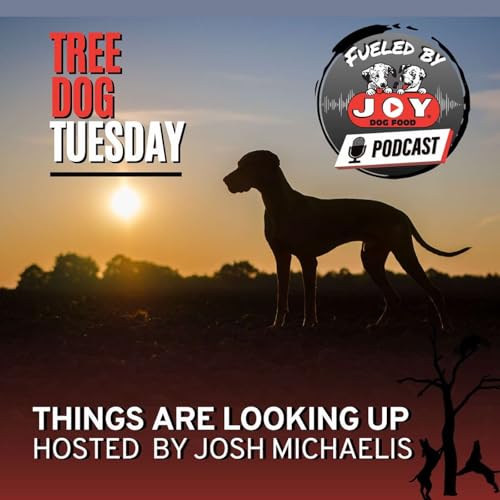 Tree Dog Tuesday: Things are Lookin Up