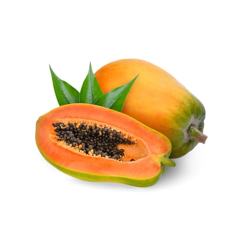 Genérico, Muda de Mamão Formosa 50 a 80cm AMK - Plantas Online