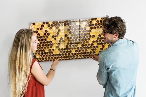 Cristal Templado 120x60 Panal Magnético con Placa de Acero 3