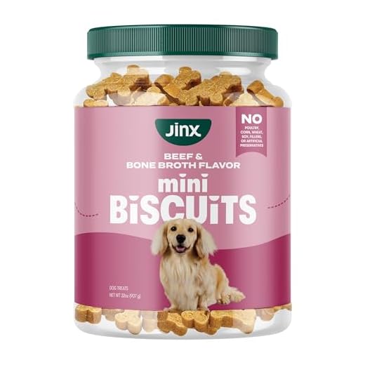 Jinx Oven-Baked Beef Bone Broth Mini Biscuit Dog Treats - Crunchy, All Natural, Superfood-Rich with Grass-Fed Beef, Dog Biscuits for Puppies, Adults & Seniors - 32oz