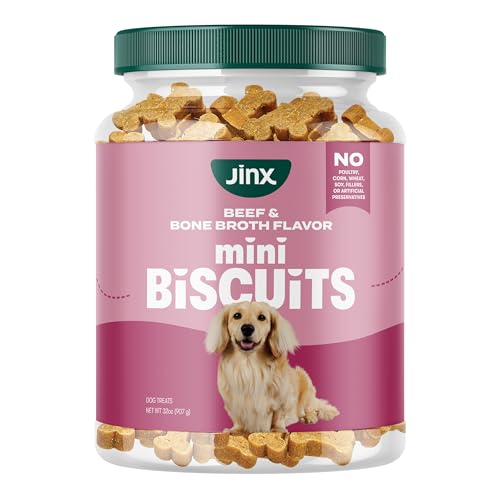 Jinx Oven-Baked Beef Bone Broth Mini Biscuit Dog Treats - Crunchy All Natural Superfood-Rich with Grass-Fed Beef Dog Biscuits for Puppies Adults & Seniors - 32oz