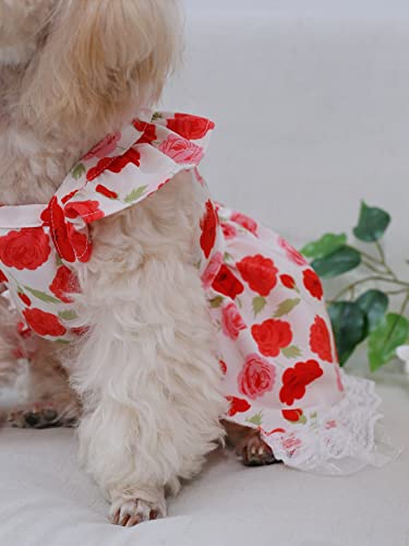 QWINEE Vestidos para cães com estampa de flores, decoração de renda, vestido de cachorro, com acabam