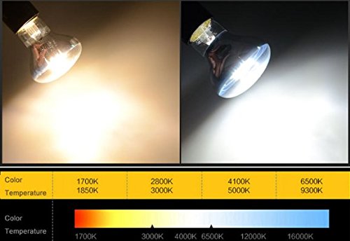 6 unidades LED filament bombilla R63/BR20, Flood Light Reflector Bombilla 6 W LED bombilla, E27 Base, blanco cálido 2700 K, equivalente a 60 W, 220 – 240 VAC, regulable