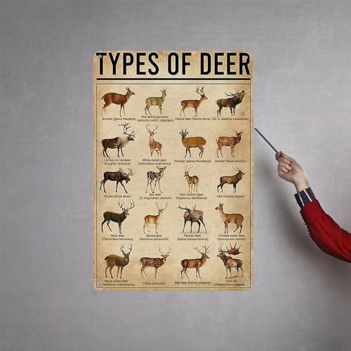 Hyblom Rustic Types Of Deer Metal Sign thumb #6
