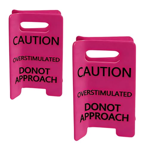 2Pcs Decorative Hair Clip Accessory for Kids with Overstimulated Design Securely Hold for Active Use Parties and School Buns Hol