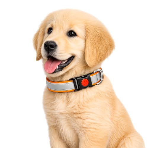 Image of Reflective Dog Collar, Quick Release Buckle, Adjustable Size | for 14-23 Kilograms Dogs (M, Orange)