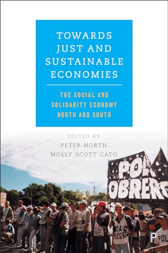 Towards Just and Sustainable Economies: The Social and Solidarity Economy North and South