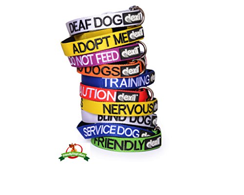 Dexil Limited THERAPY DOG Blue Colour Coded S-M L-XL Neopreen Gewatteerde halsband VOORKOMT ongevallen door anderen van uw hond vooraf te waarschuwen (S-M) - Afbeelding 3