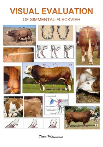 Visual evaluation of Simmental-Fleckvieh cattle