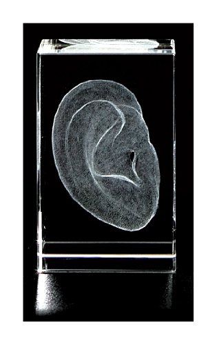 Ear 3D Laser 1lb Crystal, Anatomy, Pina, 3x3x2 inch