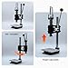 XKEDNMF Metal Arbor Press,with Punching Tool, Free Accessories Punching Tool for DIY Leather Crafts, with Aluminum Scale Plate(Package 1)