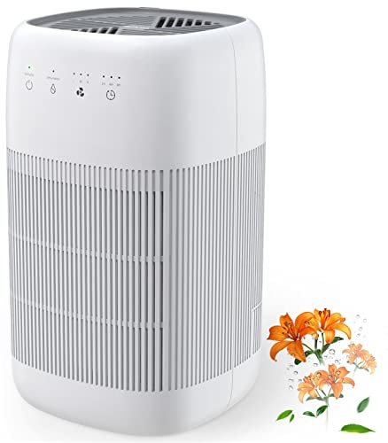 Afloia Air Purifier and Dehumidifier...