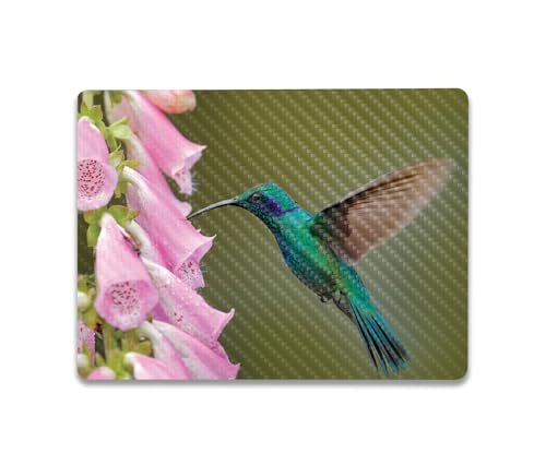 Image of MightySkins Carbon Fiber Skin Compatible with Microsoft Surface Laptop Go 3 (2023) Full Wrap Kit - Hummingbird | Protective, Durable Textured Carbon Fiber Finish | Made in The USA
