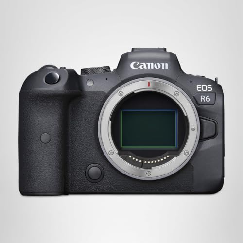 Canon EOS R6 Full-Frame Mirrorless Camera with 4K Video,