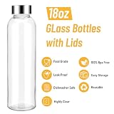 Sursip 18oz Glass Water Bottle Set of 6, Clear glass juice bottle for juicing，Reusable Drinking Bottles with Stainless Steel Lid，Beverage Storage Containers for Refrigerator-BPA Free，Leak Proof