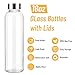 Sursip 18oz Glass Water Bottle Set of 6, Clear glass juice bottle for juicing，Reusable Drinking Bottles with Stainless Steel Lid，Beverage Storage Containers for Refrigerator-BPA Free，Leak Proof